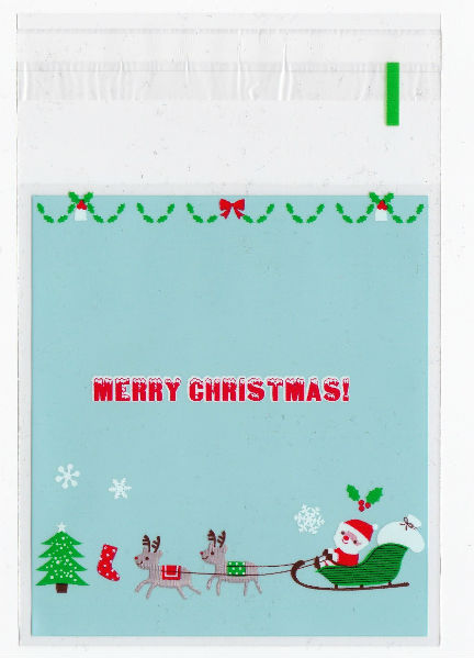 Sachet plastifié "Merry Christmas"